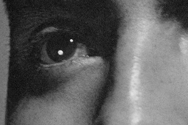 Móviles: Rostro joven [fotografía]. Fotografía de Jorge Opazo Galindo