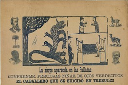 La sierpe aparecida en las Pallatas