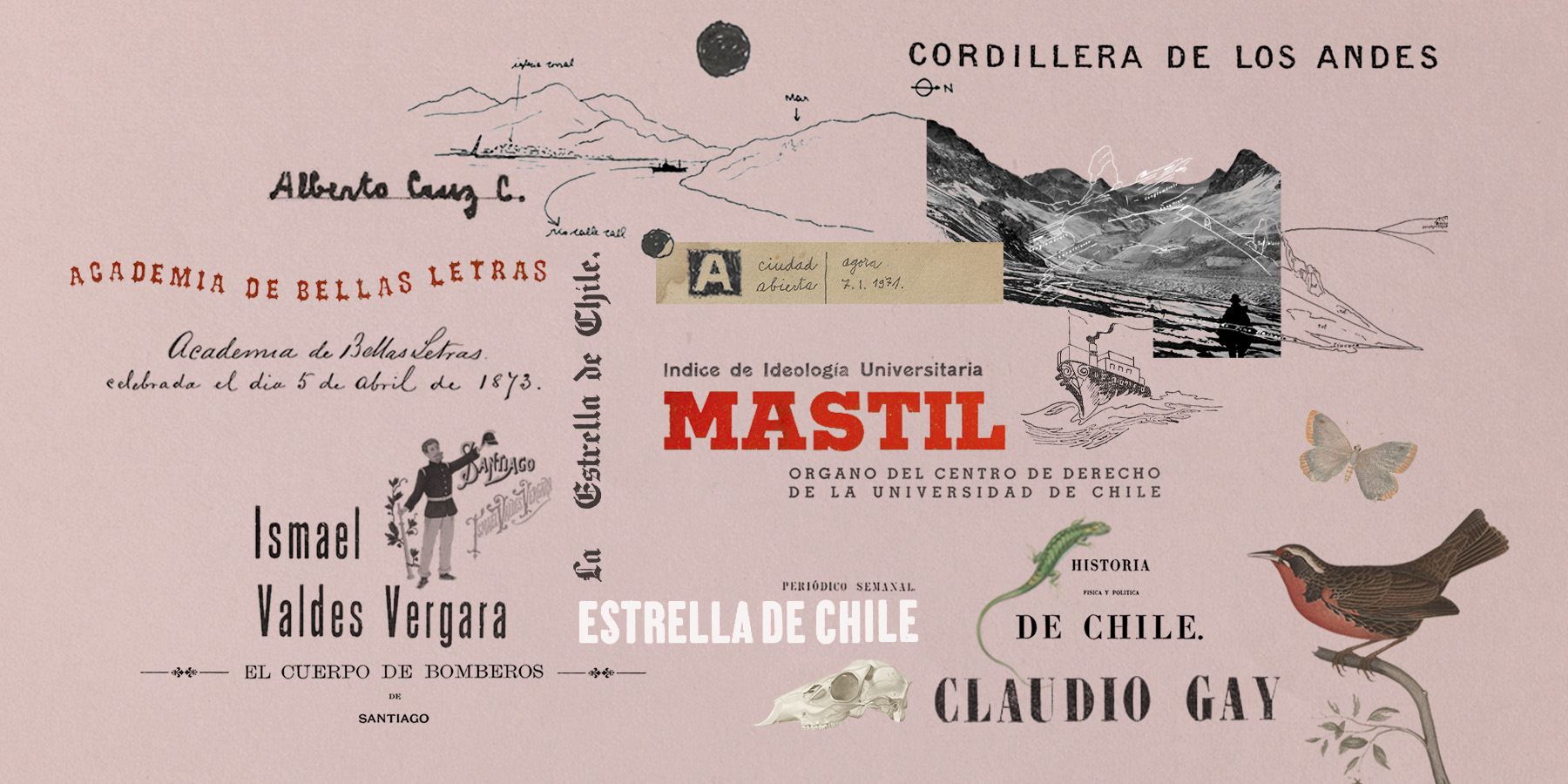 Collage minisitios 2024 de Memoria Chilena Collage minisitios 2024 de Memoria Chilena