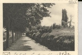 [Carta] 1951 sept. 21, Como, [Italia] [a] Gabriela Mistral