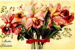 [Tarjeta] 1954 sept. 13, San Fernando, [Chile] [a] Gabriela [Mistral]