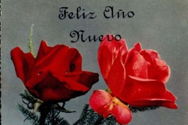 [Tarjeta] 1956 oct. 31, Lima, Perú [a] Gabriela Mistral, Nueva York