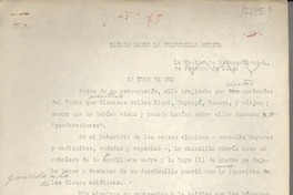 Recado sobre la chinchilla andina