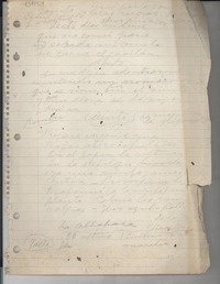 [Anotaciones sobre aves y plantas]