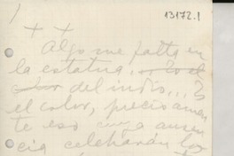 [Algo me falta en la estatua del indio_]