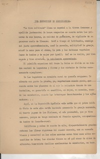 Una exposición de horticultura