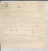 Florecita de los cerros