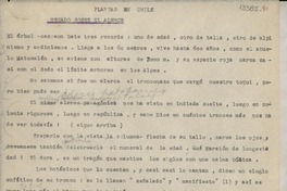 Plantas de Chile : Recado sobre el Alerce