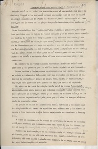 Recado sobre una medusilla de Coquimbo