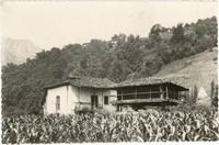 [Tarjeta postal] 1952 ene. 22, Madrid [a] Gabriela Mistral