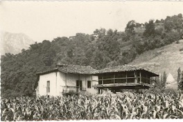[Tarjeta postal] 1952 ene. 22, Madrid [a] Gabriela Mistral