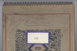 [Cuaderno 107]