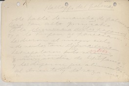 Hallazgo del palomar