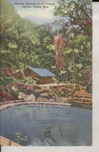 [Tarjeta postal] [1949?] [abr.?], 303 Canals, Santurce, Puerto Rico [a la] Srta. Gabriela Mistral, Hotel Salmones, Jalapa, Ver., México