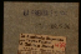 La Academia Argentina de Letras felicitó a Gabriela Mistral