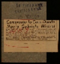 Comprarán la casa donde nació Gabriela Mistral