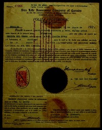 [Documentos financieros]