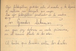 Los grandes silencios