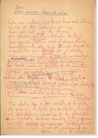 Estos paisajes llenos de colinas