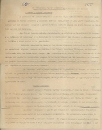 El desarrollo de un pueblecito