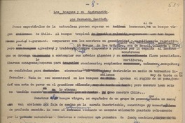 Los bosques y su destrucción