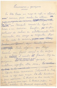 Camareros o garzones