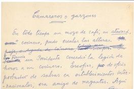 Camareros o garzones