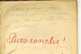 Puro Rosicler  [manuscrito] Arturo Ossandón de la Peña.