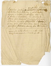 [Cuerpo gentil]  [manuscrito] Eusebio Lillo.