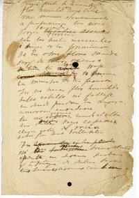 [A la violeta]  [manuscrito] Eusebio Lillo.