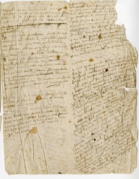 [Vagando cruzo la desierta vida]  [manuscrito] Eusebio Lillo.