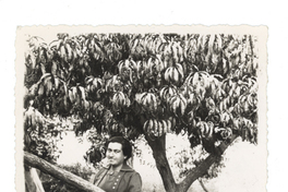 [Retrato de Gabriela Mistral en Los Andes]  [fotografía]