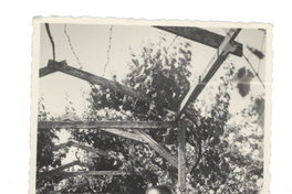 [Retrato de Emelina Molina]  [fotografía]