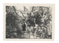 [Retrato de Emelina Molina junto a sus amigas]  [fotografía]