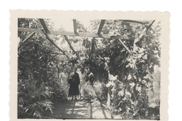 [Retrato de Emelina Molina junto a sus amigas]  [fotografía]
