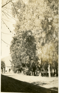 [Vista de Vicuña]  [fotografía]