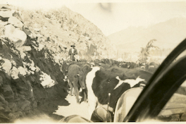 [Vista del Valle del Elqui]  [fotografía]