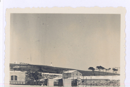 [Juan Miguel Godoy (Yin Yin)]  [fotografía]