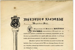 Diploma del Instituto Nacional  [manuscrito] Magdalena Petit.