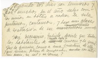 [Siete años en Magallanes...]  [manuscrito] Laura Rodig.