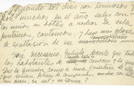 [Siete años en Magallanes...]  [manuscrito] Laura Rodig.