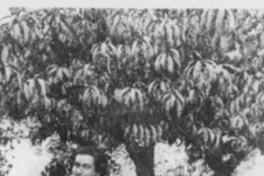 [Retrato de Gabriela, 1917]  [fotografía].