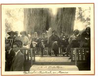 Presidencia del Festival de México  [fotografía].