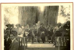 Presidencia del Festival de México  [fotografía].