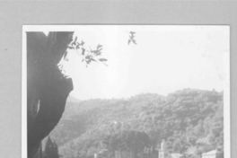 [Amigos de Doris Dana en Portofino]  [fotografía].