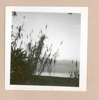 [Paisaje de Italia]  [fotografía].