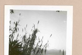 [Paisaje de Italia]  [fotografía].