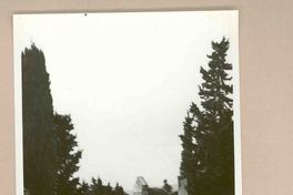 [Pompeya]  [fotografía].