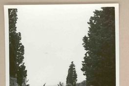 [Pompeya]  [fotografía].