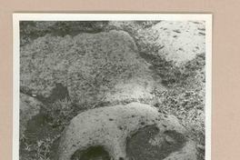 [Pompeya]  [fotografía].